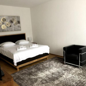 Nice 1BR flat - city center with balcony - West3